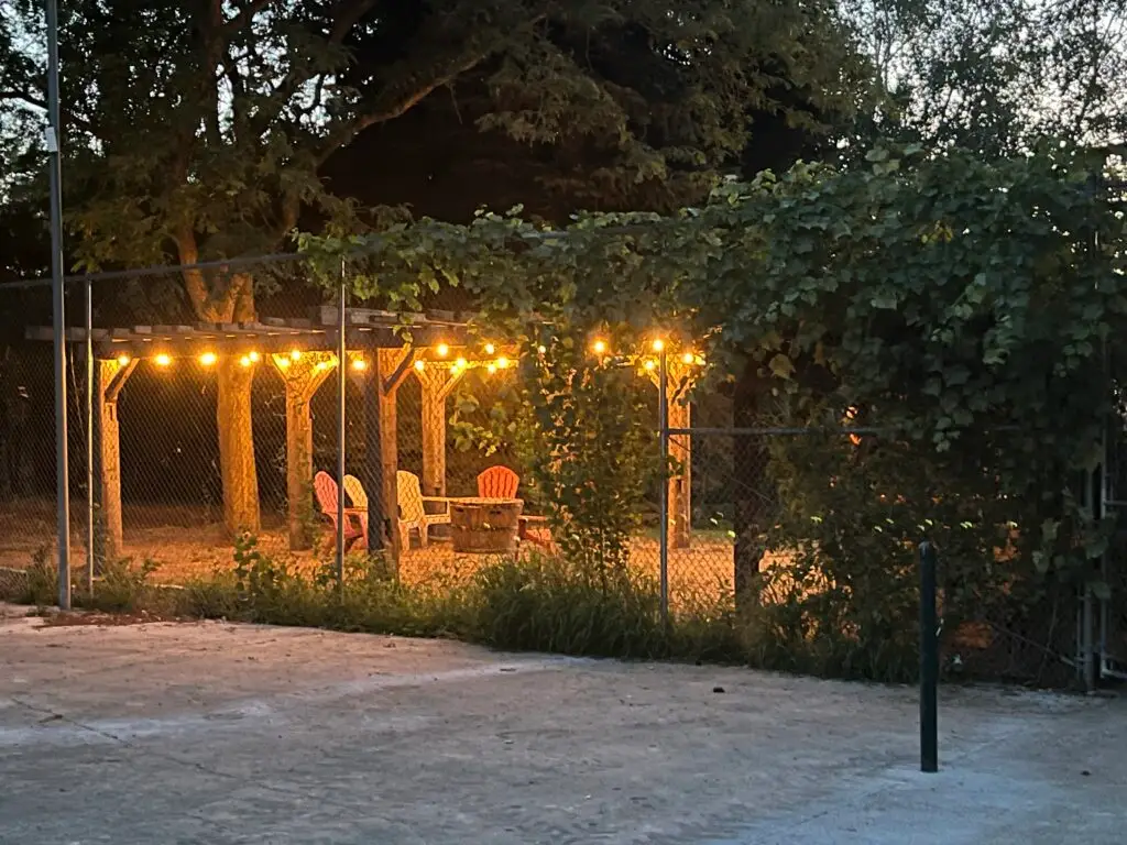 Evening pergola at Barn Owl Venue with string lights and seating area covered in grapevines